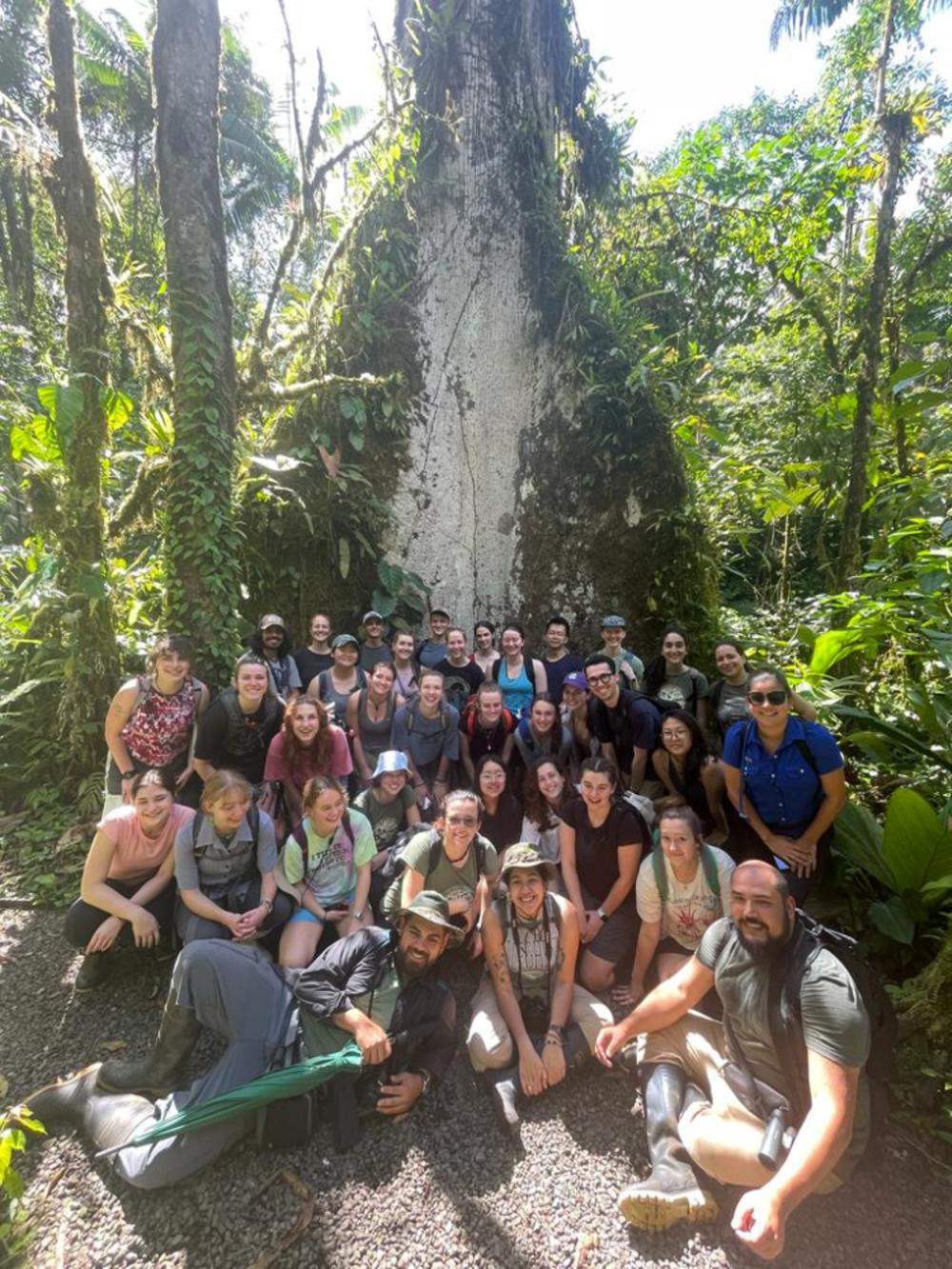 A large group of people standing in front of a large tree in the Costa Rican jungle