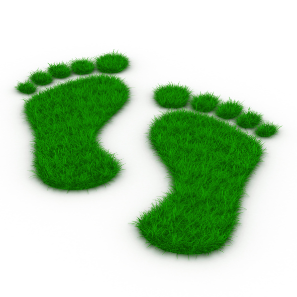 green footprint 